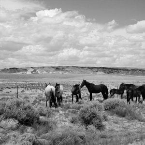 “Unframed: A Photo Journey through Navajo and Hopi Nations, 1977-1978” Exhibition Opens April 29, 2021
