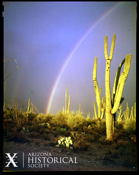 Desert Landscape with a saguaro and rainbow