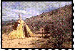 Apache wickiup near Fort Bowie